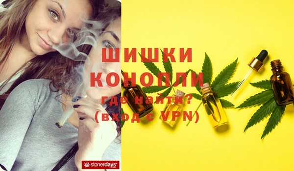 ECSTASY Волосово