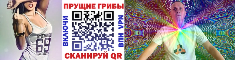 Галлюциногенные грибы мицелий  купить закладку  Нальчик 